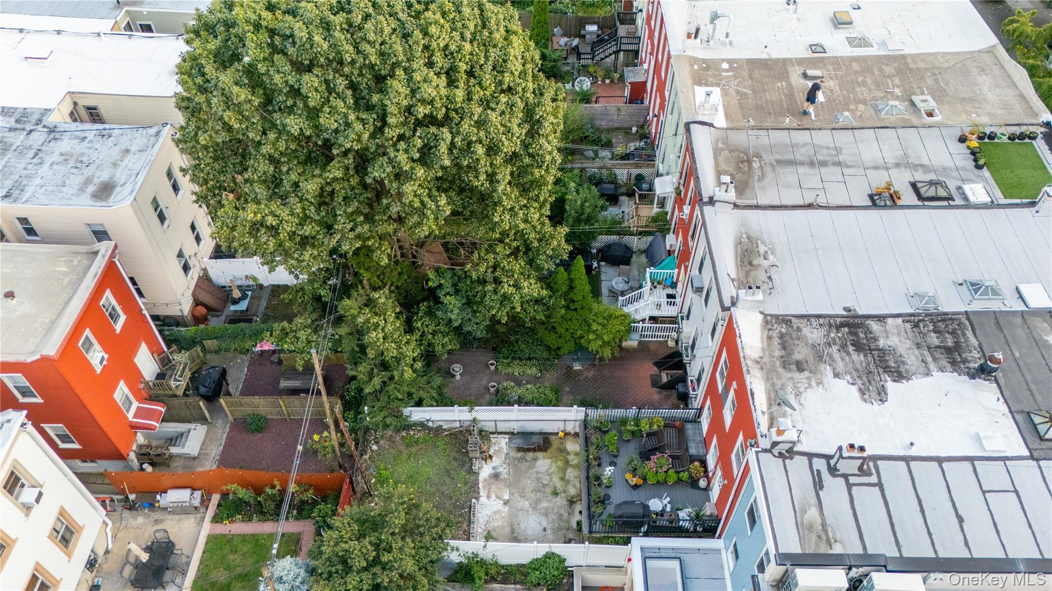 Single Family Diamond Street  Brooklyn, NY 11222, MLS-1057859-34
