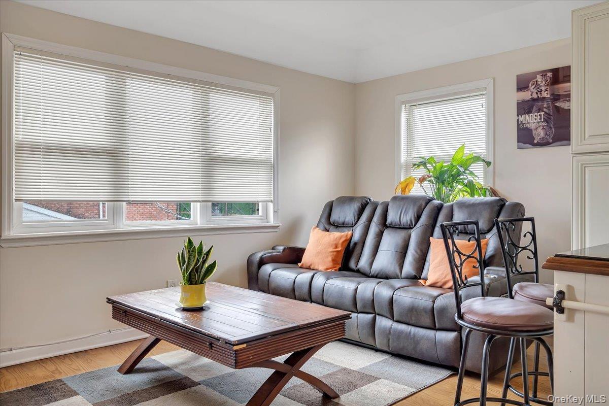 Single Family 163rd Drive Queens, NY 11414, MLS-1057948-22