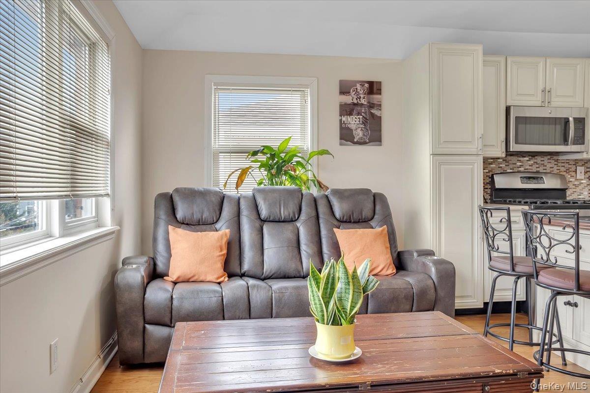 Single Family 163rd Drive Queens, NY 11414, MLS-1057948-23