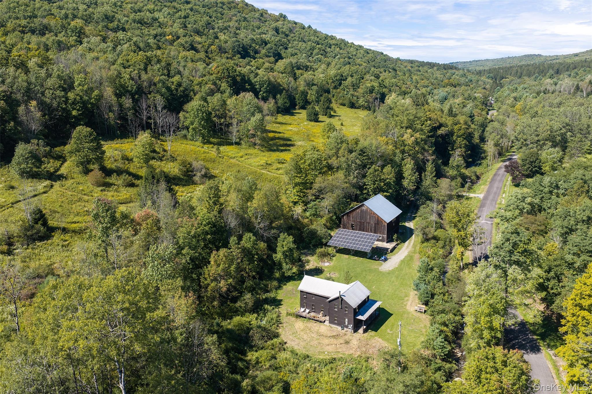 Single Family Dry Brook Road Delaware County, NY 13856, MLS-1057964-4