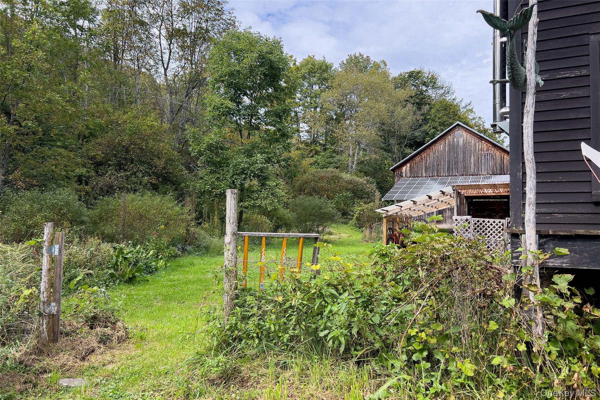 Single Family Dry Brook Road Delaware County, NY 13856, MLS-1057964-46