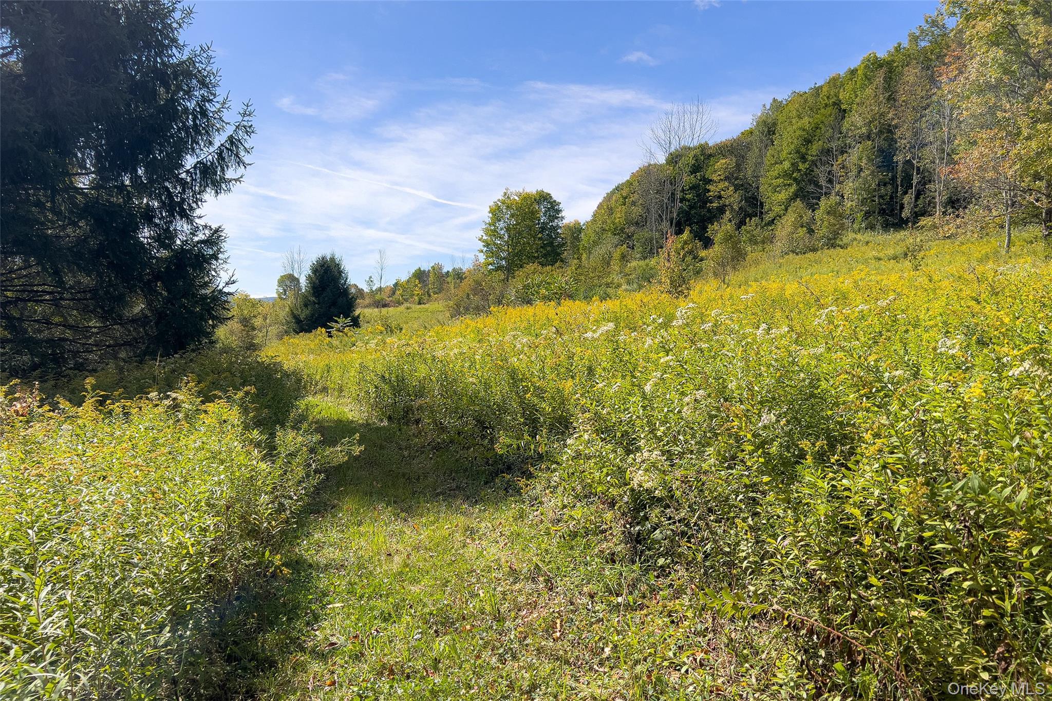 Single Family Dry Brook Road Delaware County, NY 13856, MLS-1057964-48