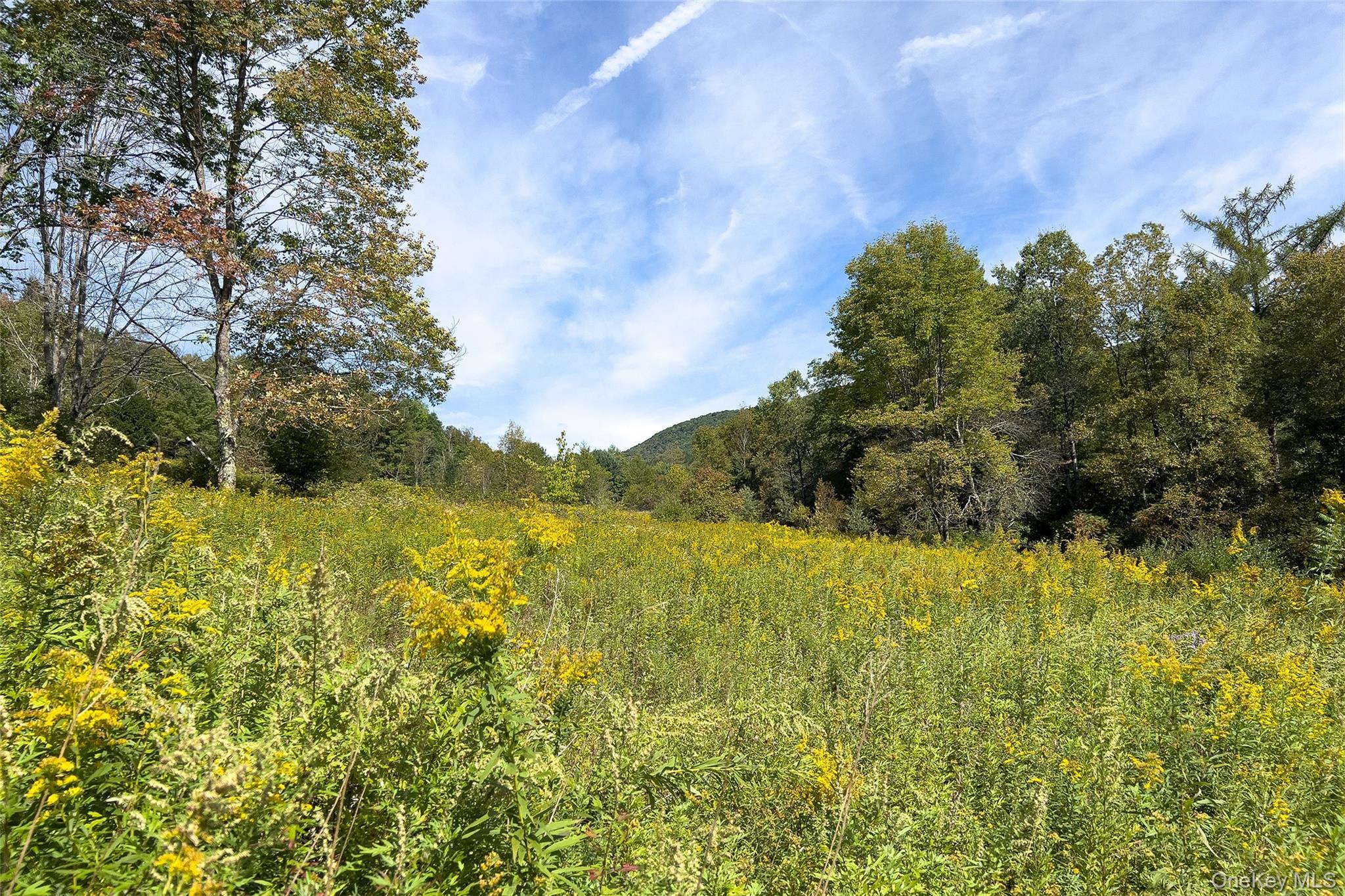 Single Family Dry Brook Road  Delaware County, NY 13856, MLS-1057964-49
