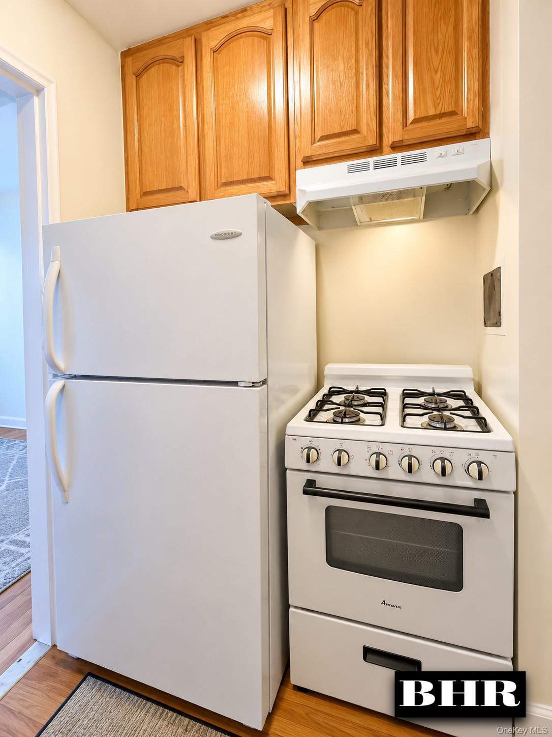 Coop Ocean Avenue Brooklyn, NY 11229, MLS-1057989-5