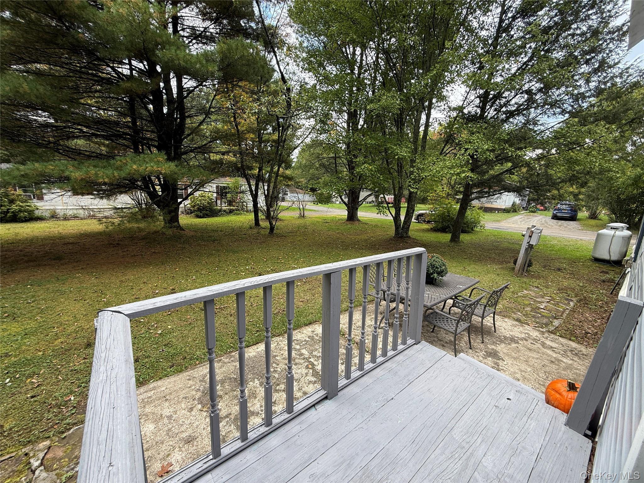 Single Family Fawn Road Ulster County, NY 12477, MLS-1058025-25
