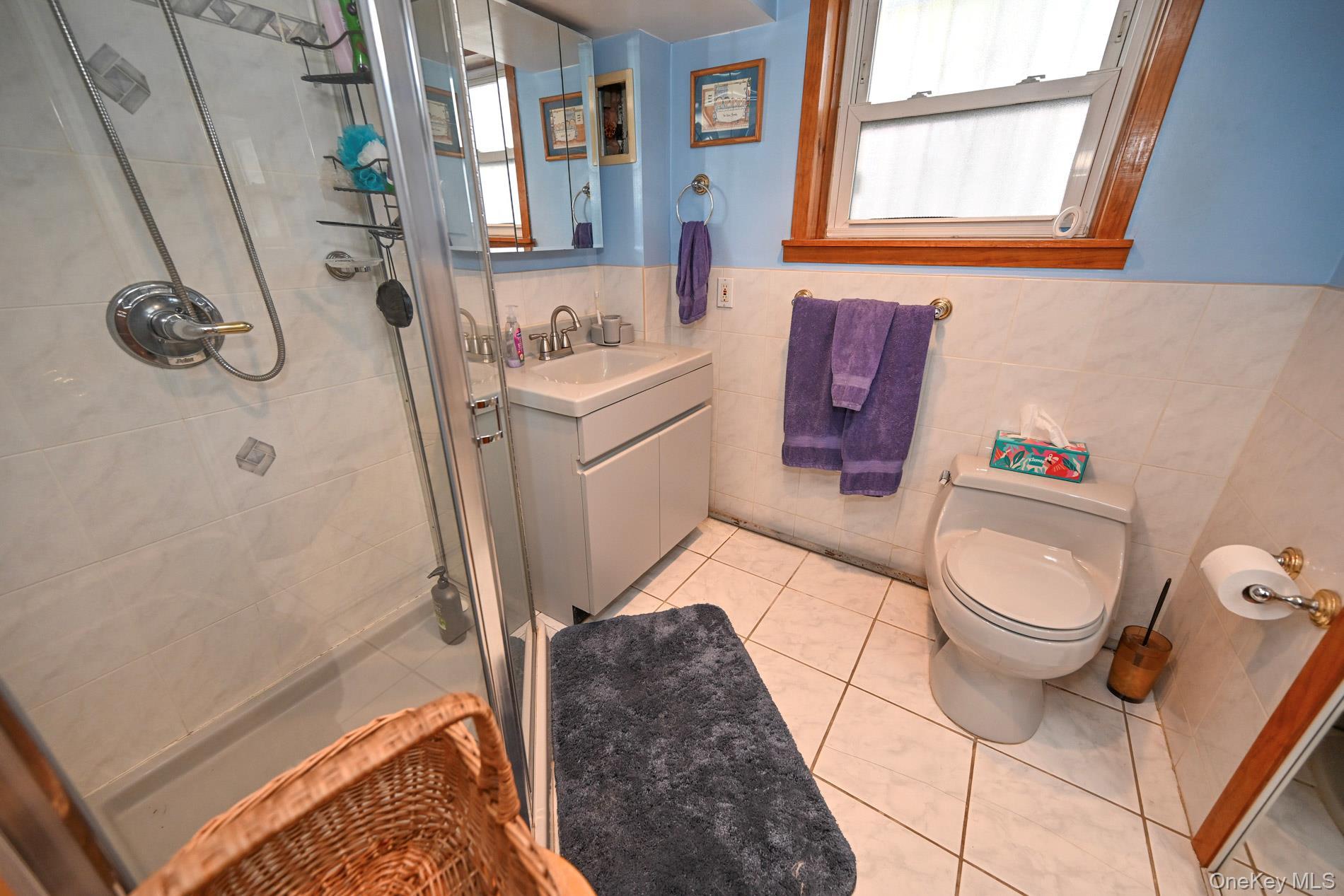 Single Family 58th Road  Queens, NY 11379, MLS-1058279-12