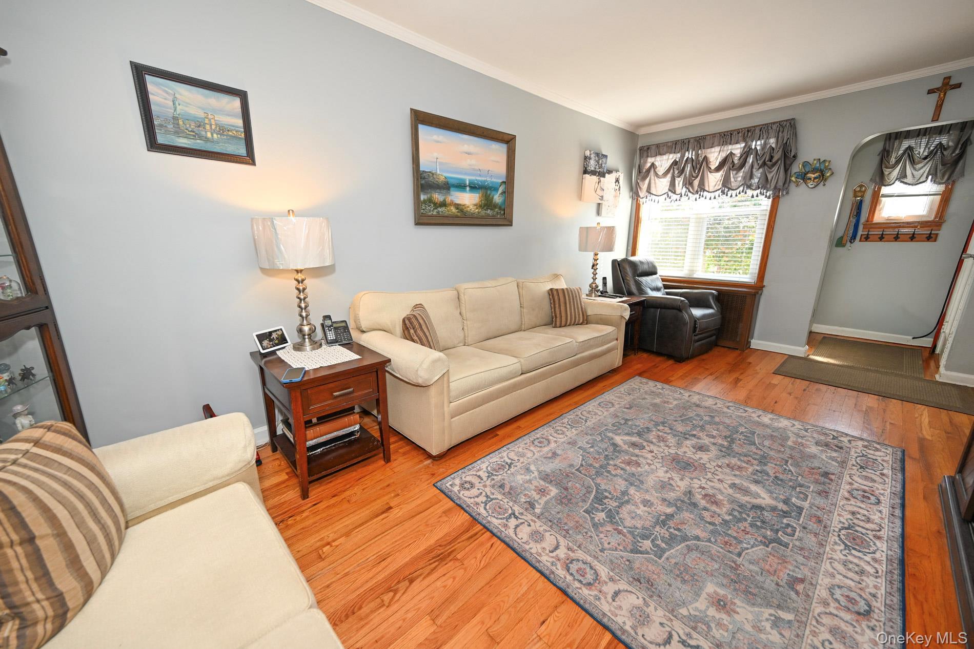Single Family 58th Road  Queens, NY 11379, MLS-1058279-7
