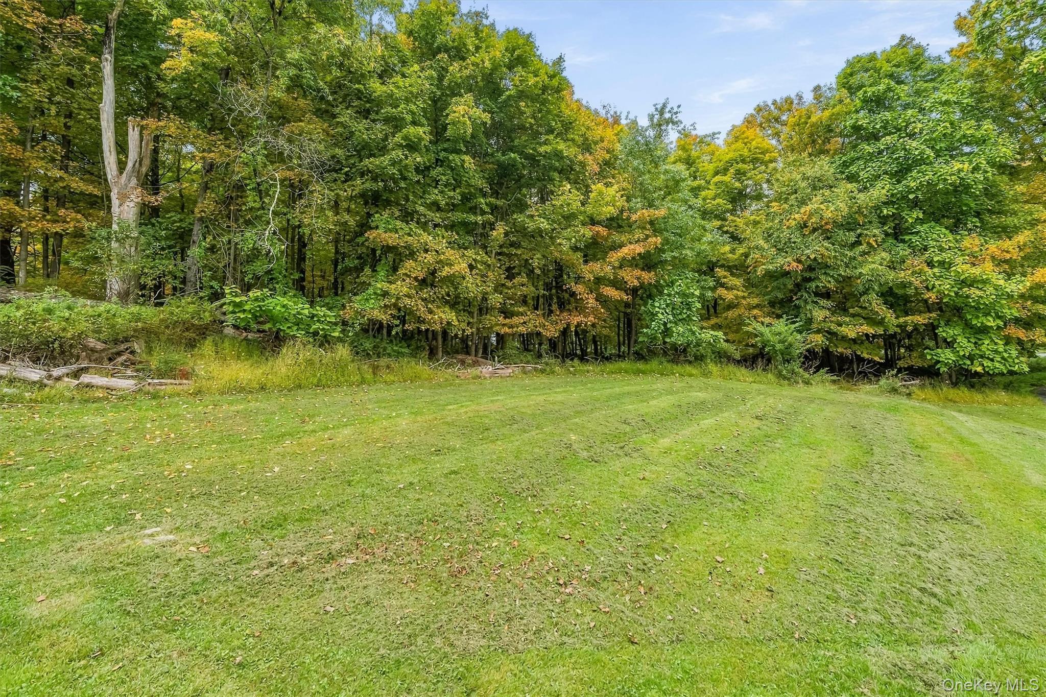 Single Family Main Street Orange County, NY 10963, MLS-1058299-27