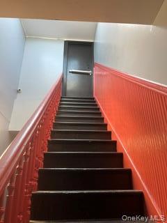 Single Family Wilson Avenue  Brooklyn, NY 11221, MLS-1058375-5
