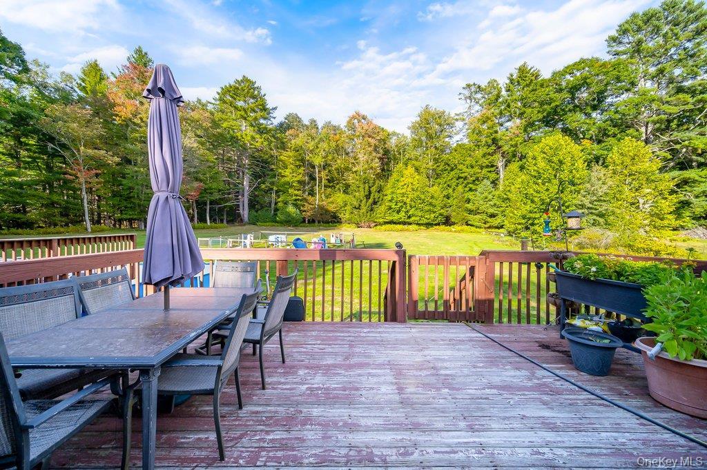 Single Family Hasbrouck Road Sullivan County, NY 12788, MLS-1058435-30