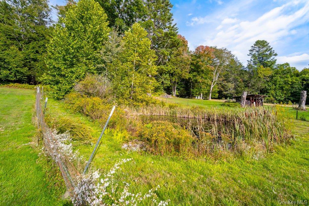 Single Family Hasbrouck Road Sullivan County, NY 12788, MLS-1058435-34