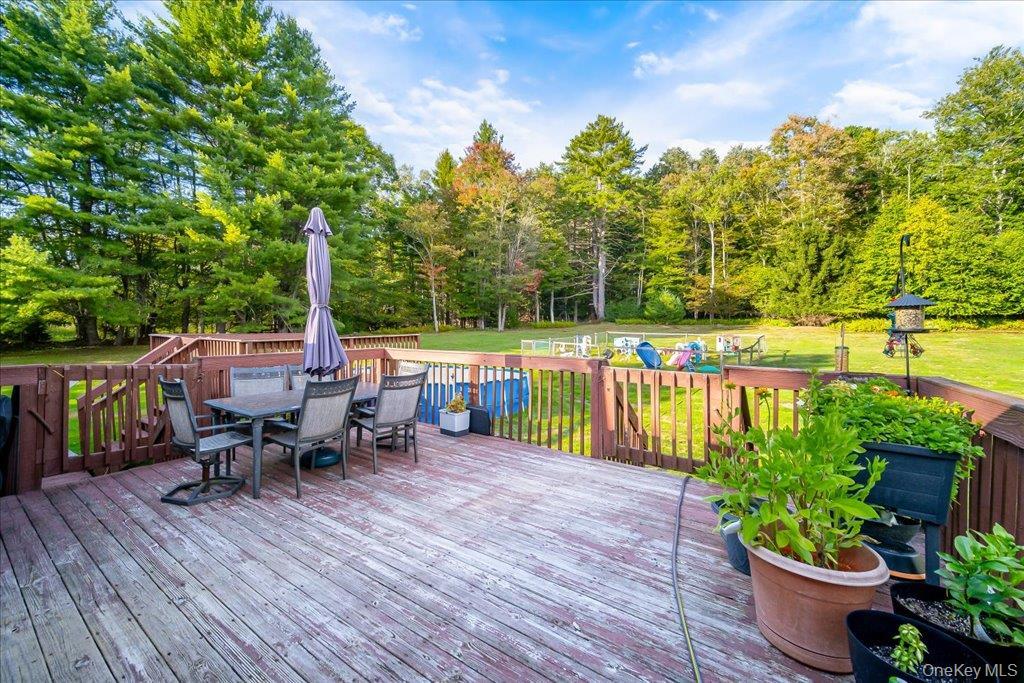Single Family Hasbrouck Road  Sullivan County, NY 12788, MLS-1058435-35