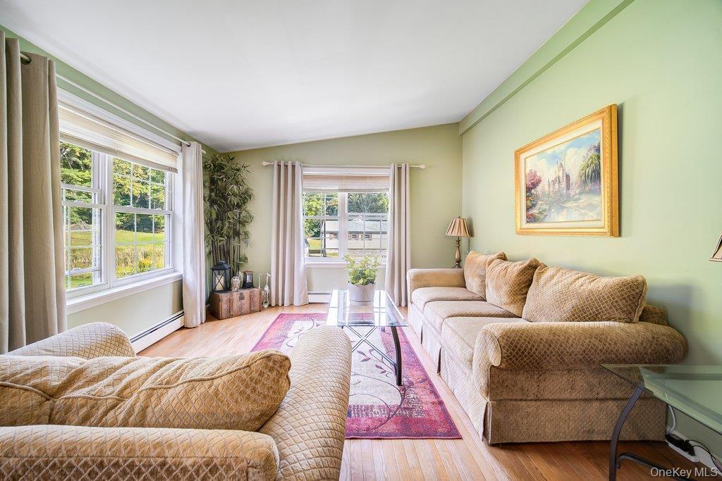 Single Family Hasbrouck Road Sullivan County, NY 12788, MLS-1058435-8