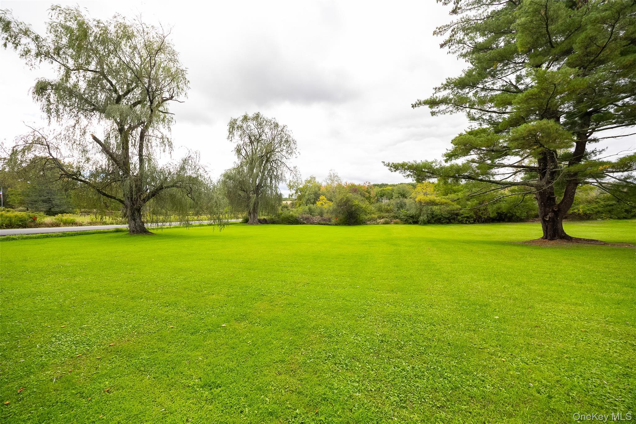 Single Family Bloomer Road  Dutchess County, NY 12540, MLS-1058561-24