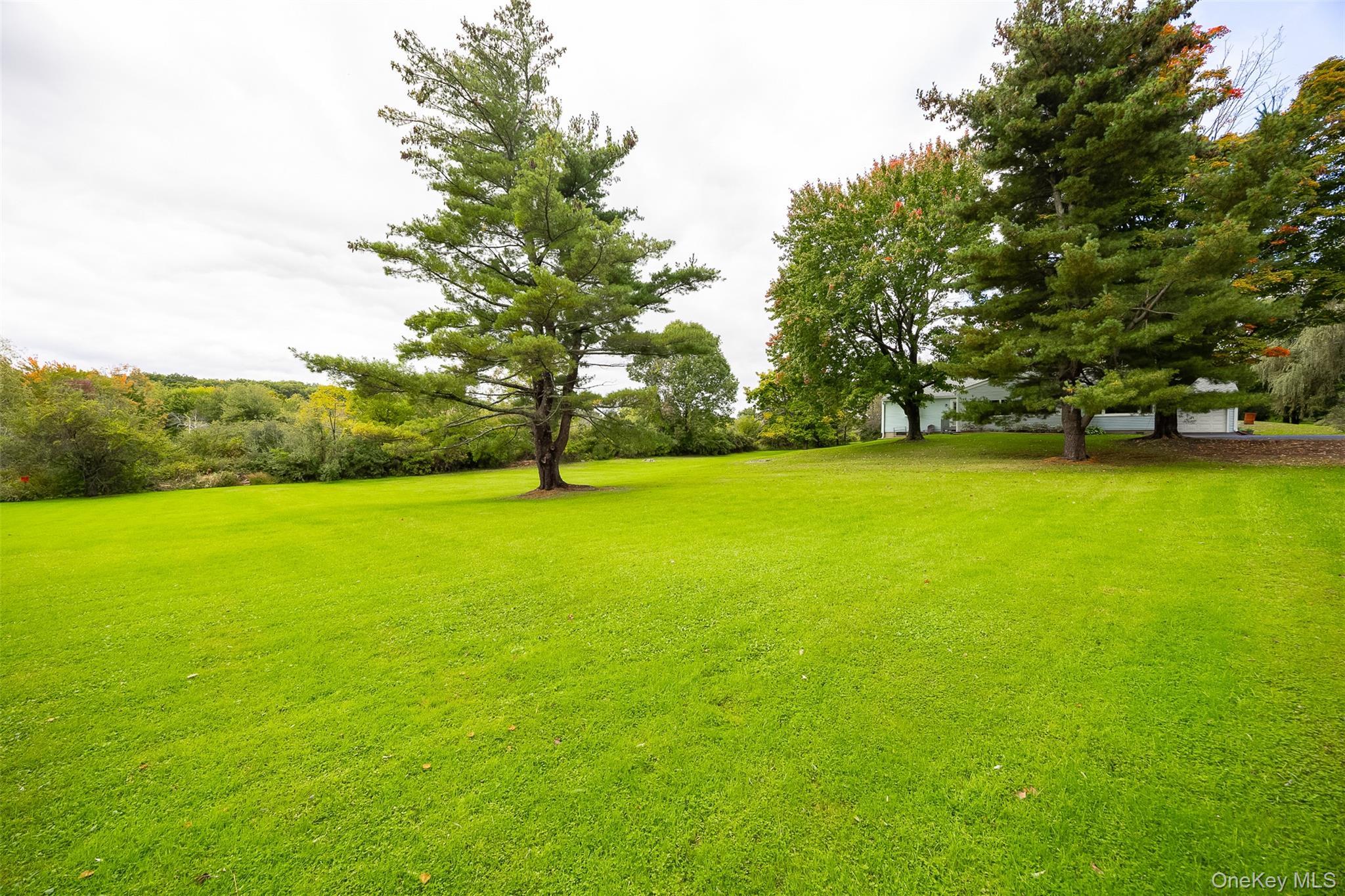 Single Family Bloomer Road  Dutchess County, NY 12540, MLS-1058561-25