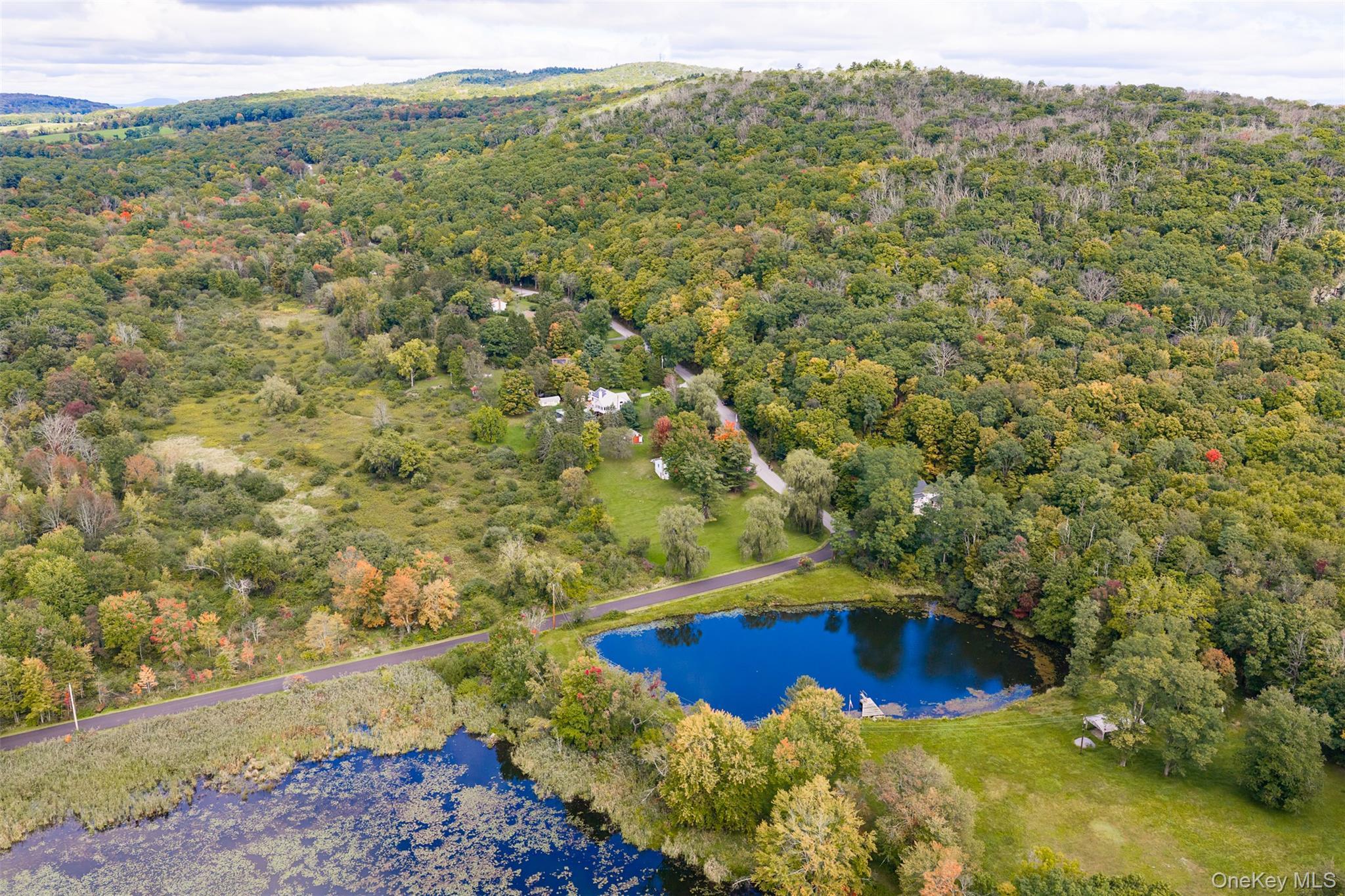 Single Family Bloomer Road  Dutchess County, NY 12540, MLS-1058561-28
