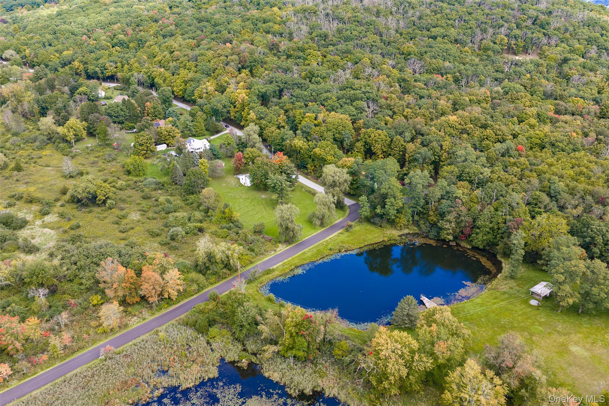 Single Family Bloomer Road  Dutchess County, NY 12540, MLS-1058561-30