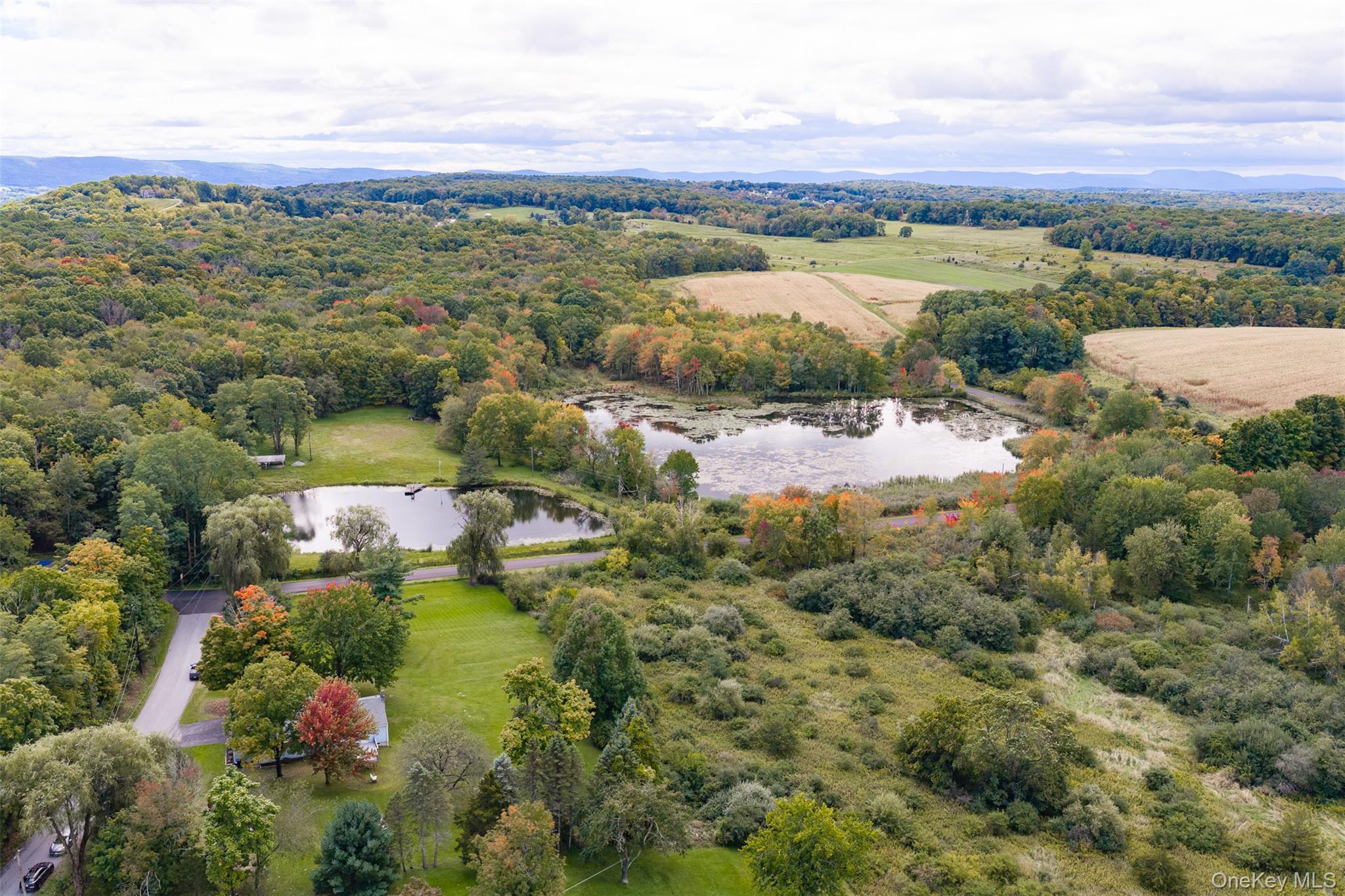 Single Family Bloomer Road  Dutchess County, NY 12540, MLS-1058561-31