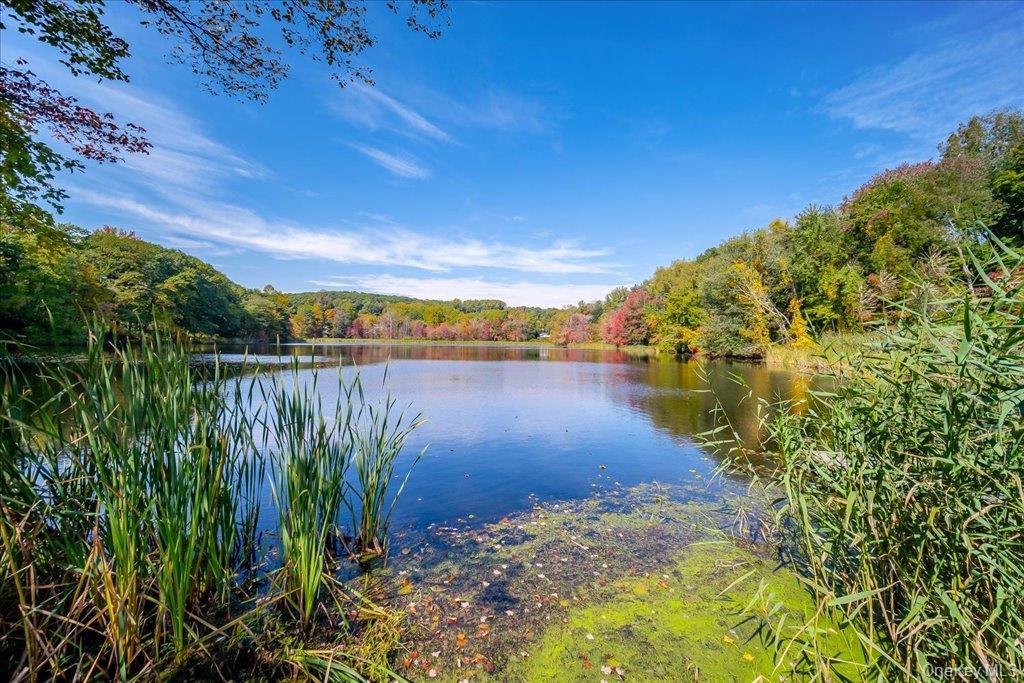 Single Family Dixon Lake Drive Putnam County, NY 10541, MLS-1058642-40
