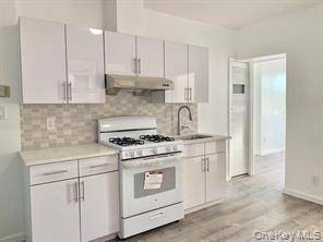 Single Family 18 Avenue  Brooklyn, NY 11204, MLS-1058737-9