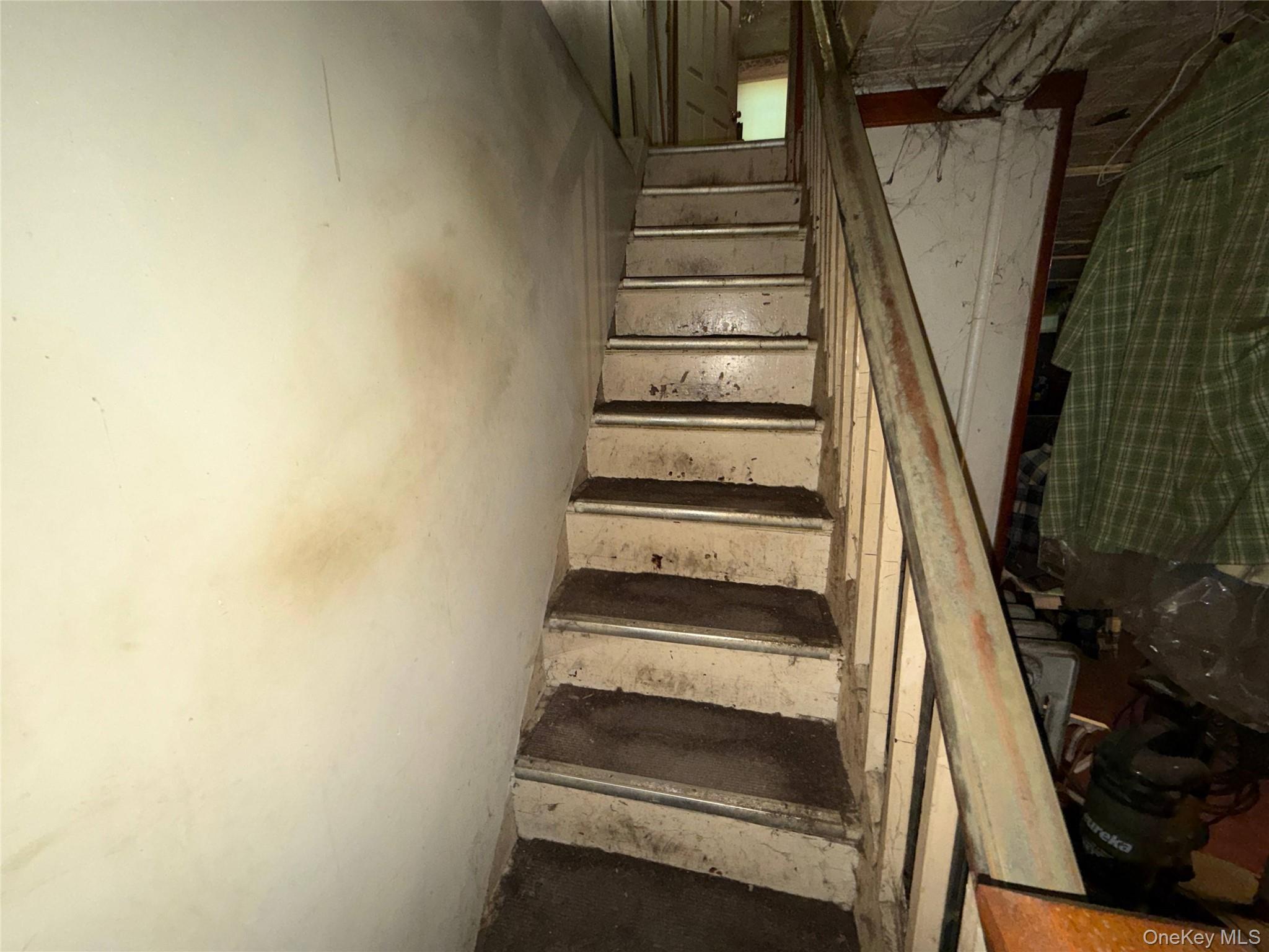 Single Family Pine Street Brooklyn, NY 11208, MLS-1058996-11
