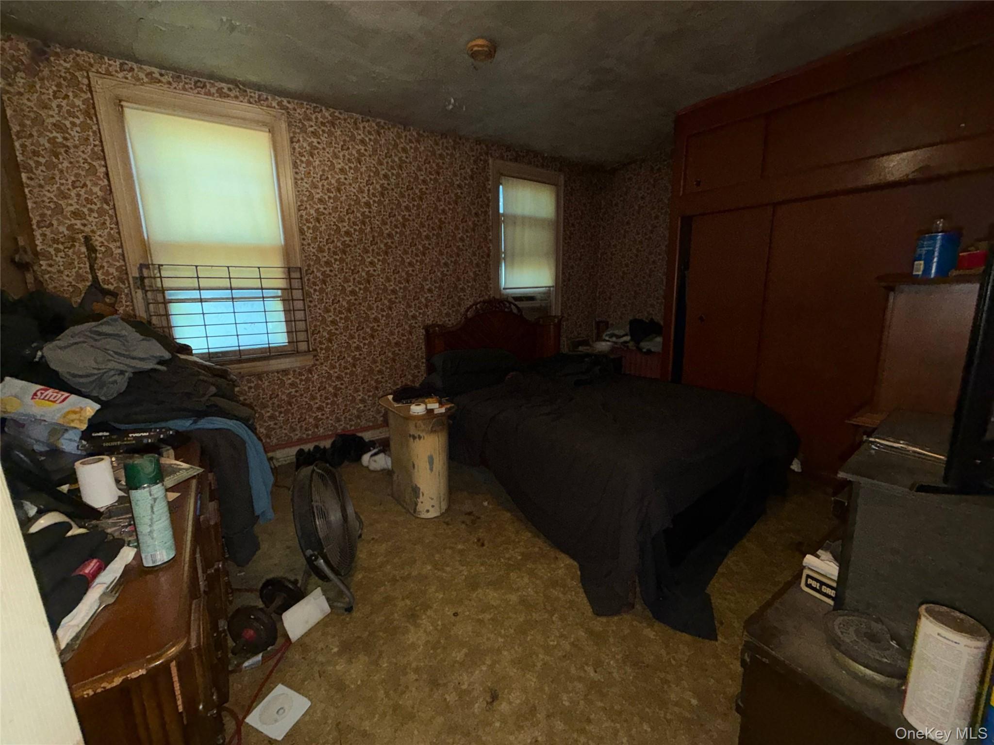 Single Family Pine Street Brooklyn, NY 11208, MLS-1058996-12