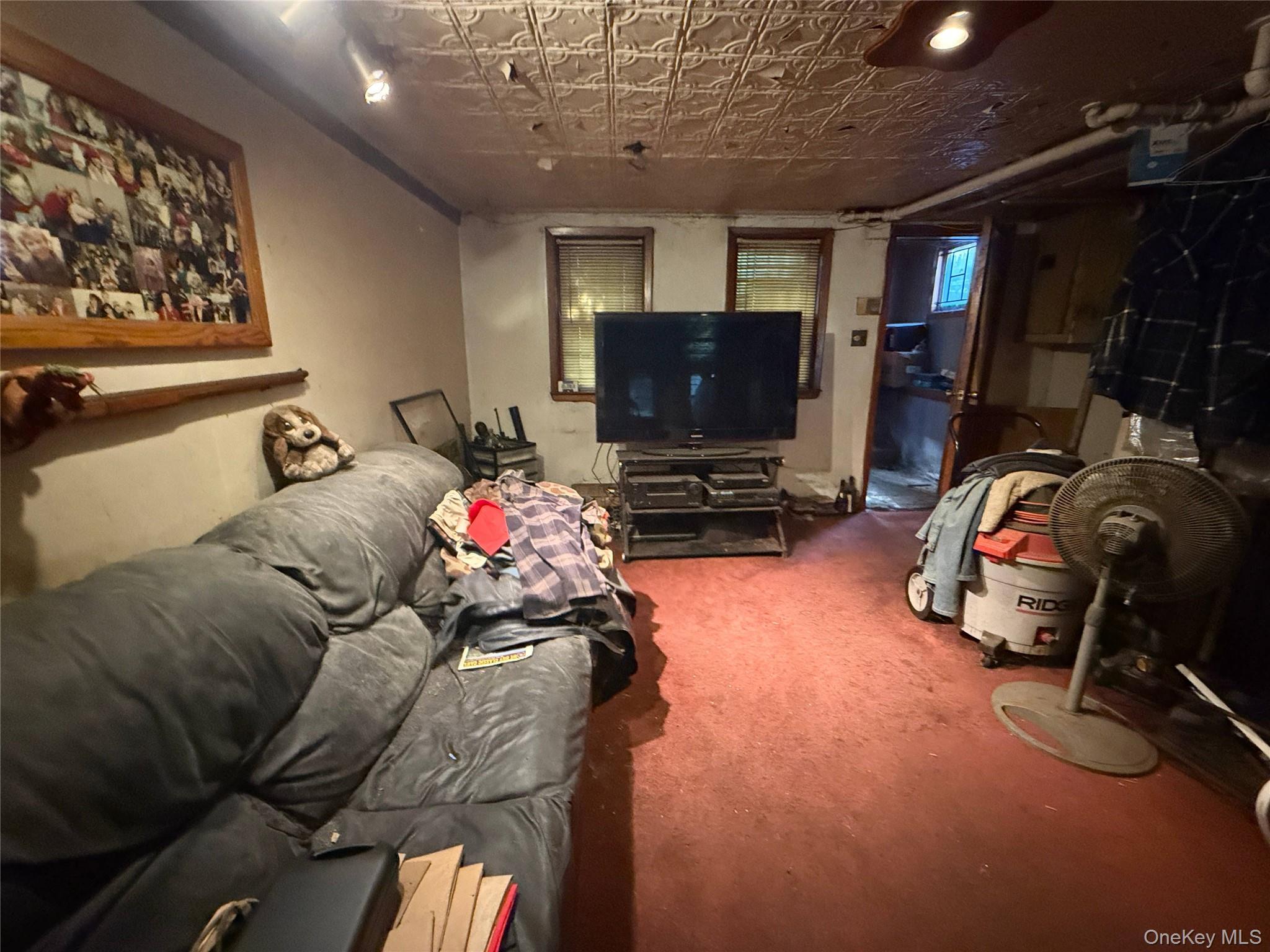 Single Family Pine Street Brooklyn, NY 11208, MLS-1058996-3