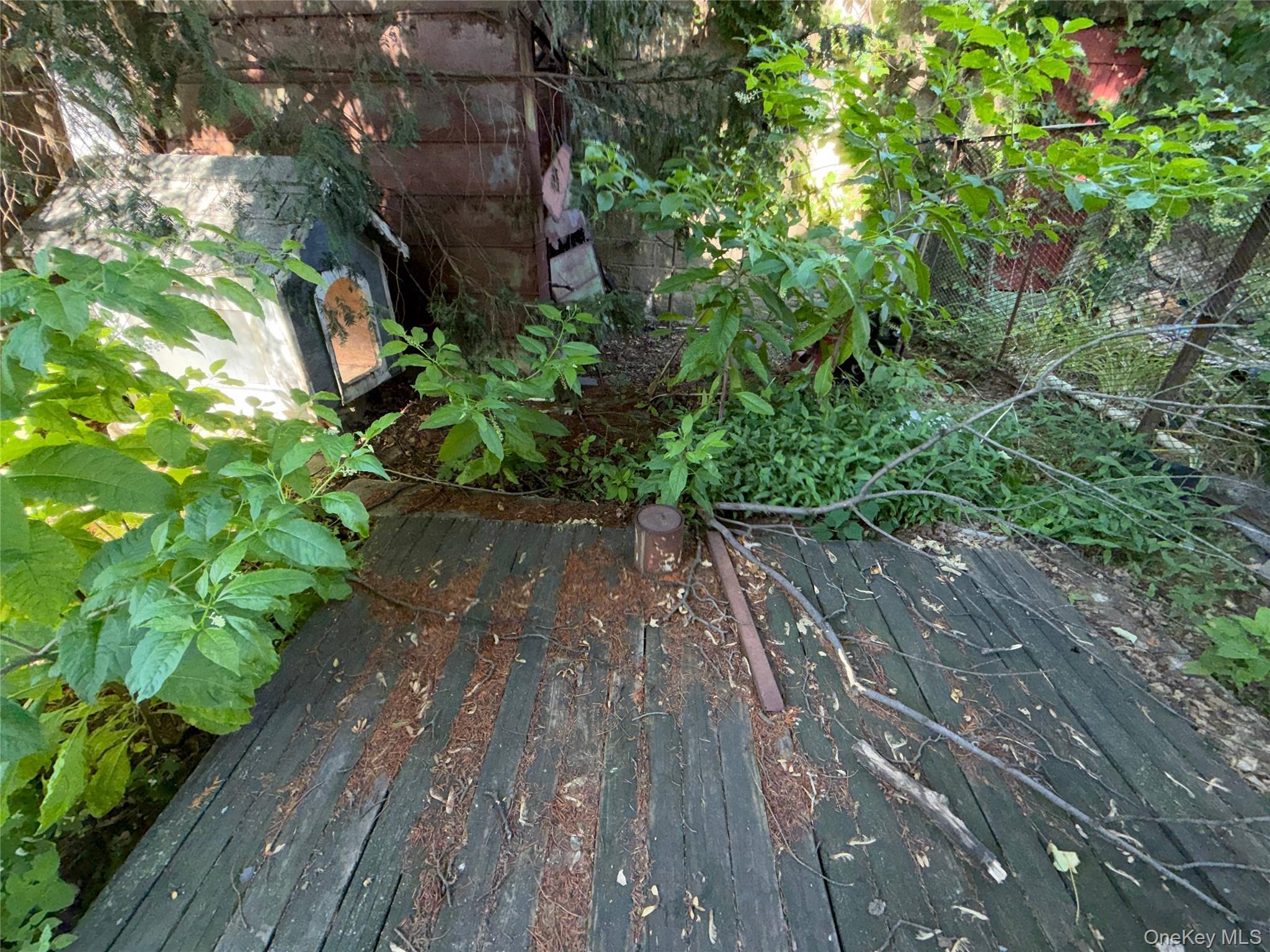 Single Family Pine Street Brooklyn, NY 11208, MLS-1058996-6
