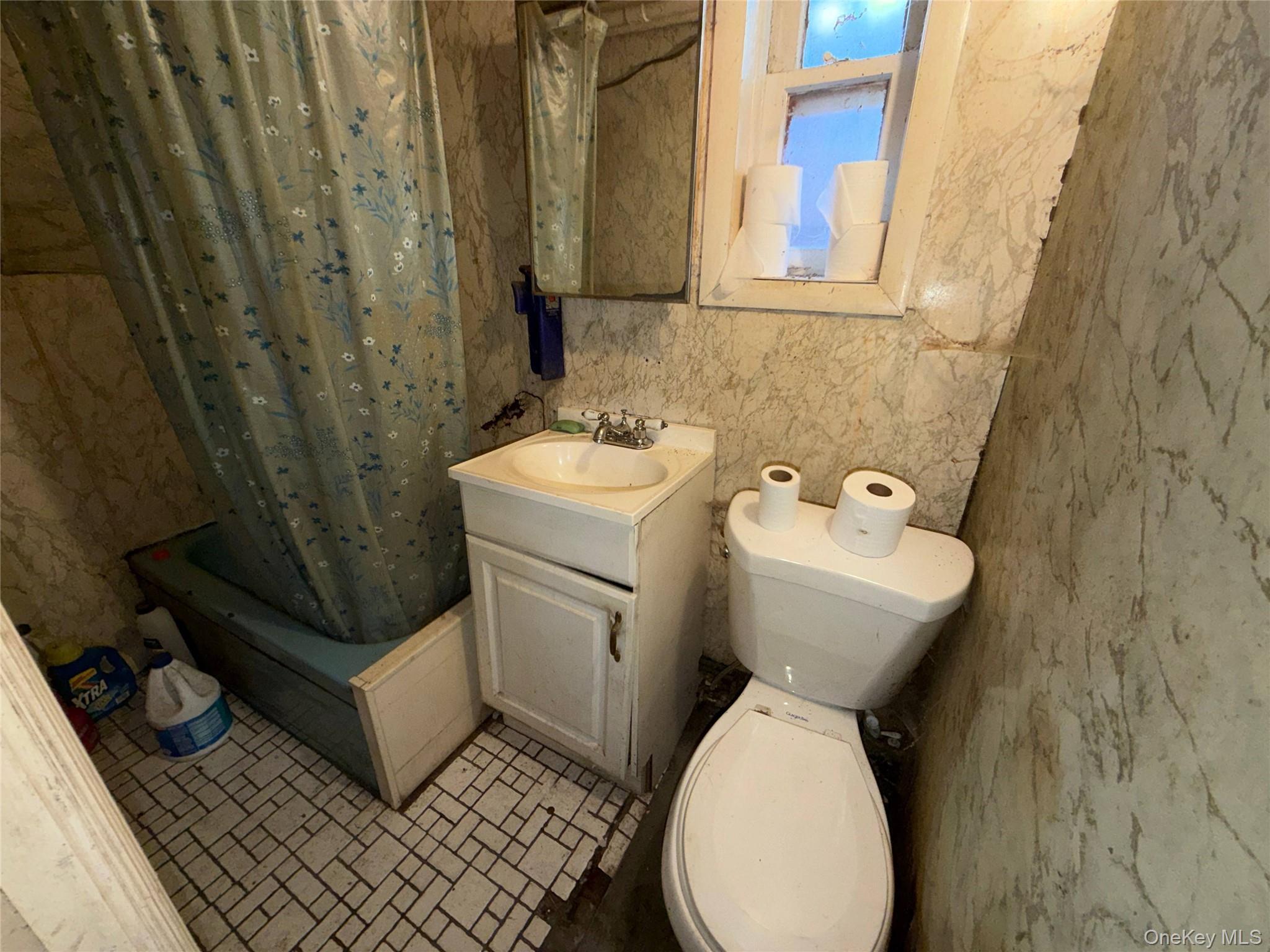Single Family Pine Street Brooklyn, NY 11208, MLS-1058996-8