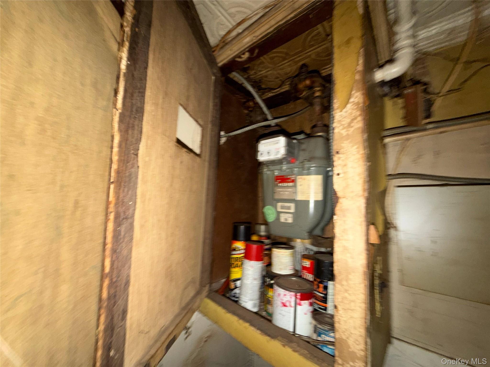 Single Family Pine Street Brooklyn, NY 11208, MLS-1058996-9