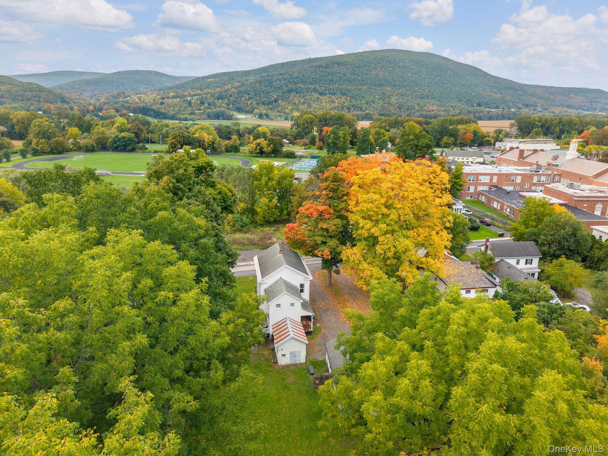 Single Family Clauverwie Rd,  Middleburgh  Out Of Area, NY 12122, MLS-1059034-43