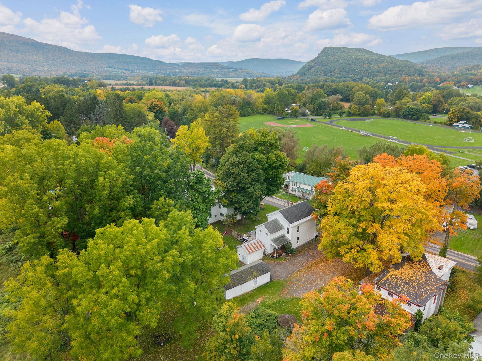Single Family Clauverwie Rd,  Middleburgh  Out Of Area, NY 12122, MLS-1059034-44
