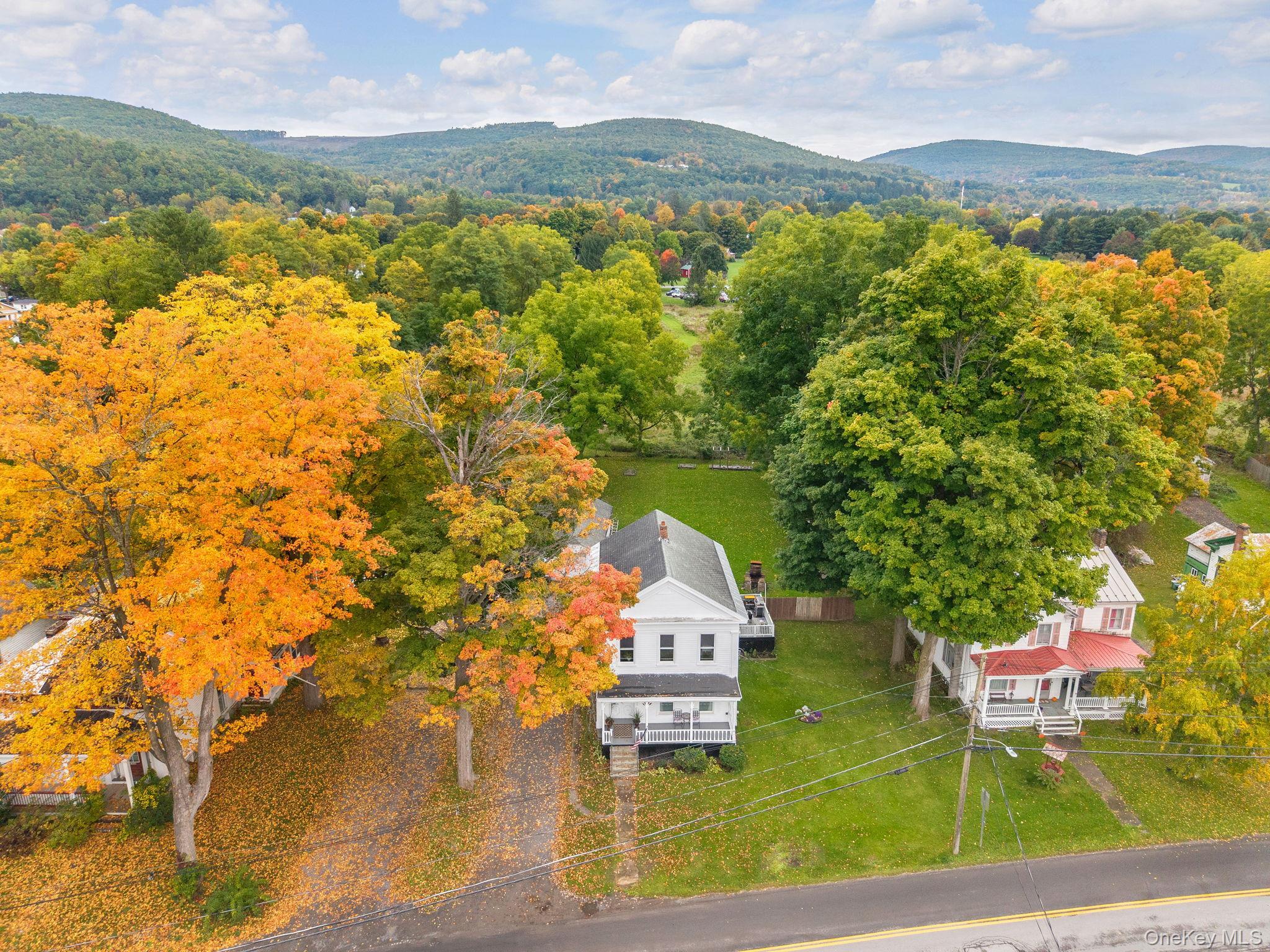 Single Family Clauverwie Rd,  Middleburgh  Out Of Area, NY 12122, MLS-1059034-45