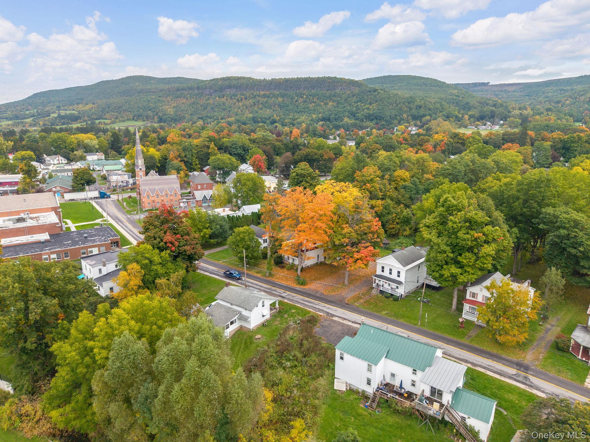 Single Family Clauverwie Rd,  Middleburgh  Out Of Area, NY 12122, MLS-1059034-46