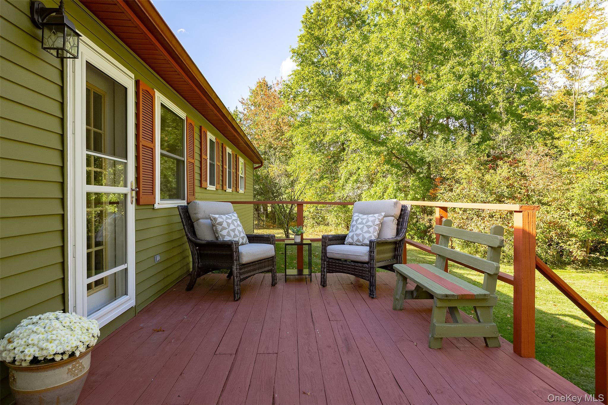 Single Family Elizabeth Drive Dutchess County, NY 12583, MLS-1059077-19