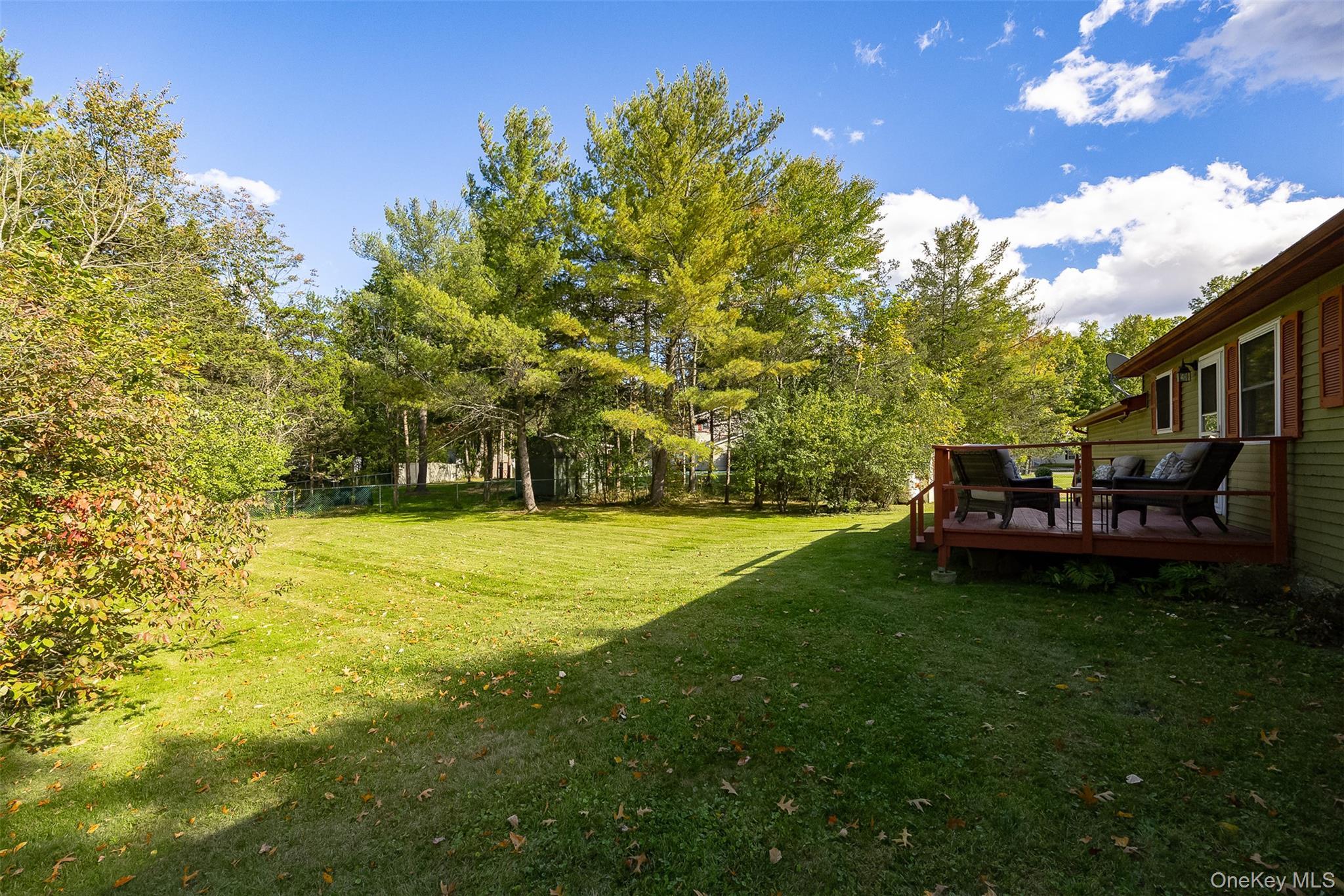 Single Family Elizabeth Drive Dutchess County, NY 12583, MLS-1059077-2