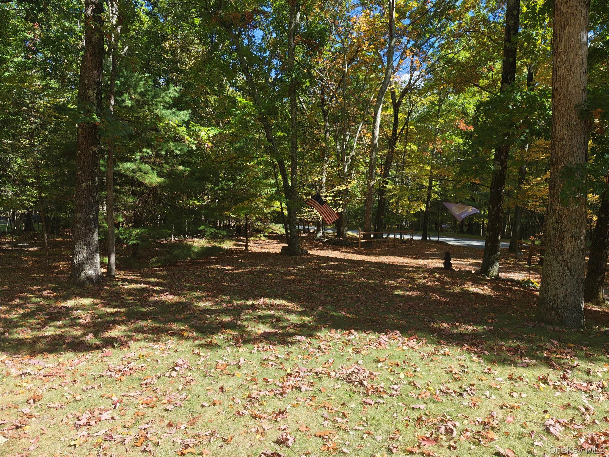Single Family Franke Road  Orange County, NY 12746, MLS-1059314-2
