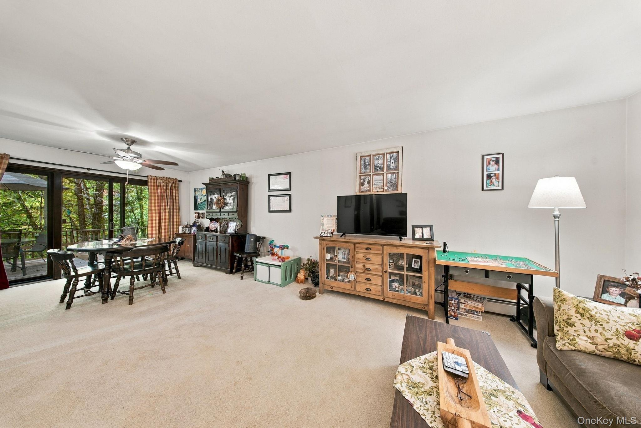 Single Family Franke Road  Orange County, NY 12746, MLS-1059314-24