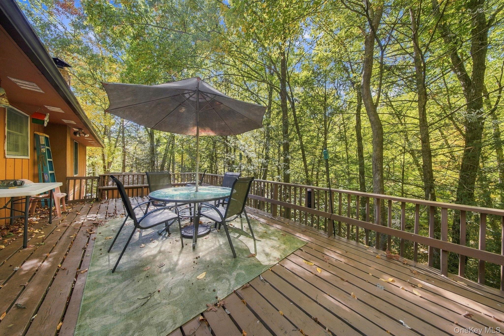 Single Family Franke Road  Orange County, NY 12746, MLS-1059314-3