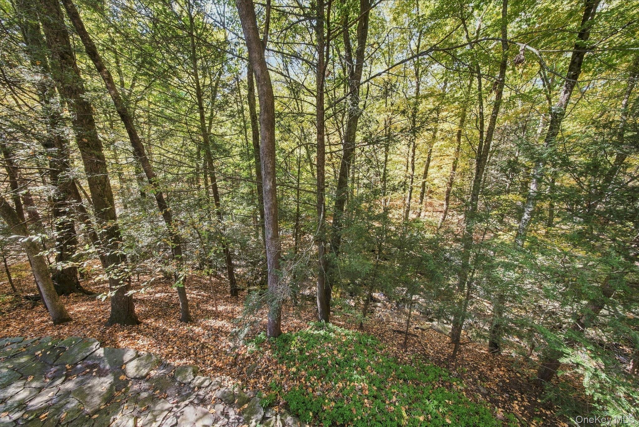 Single Family Franke Road  Orange County, NY 12746, MLS-1059314-33
