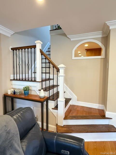 Single Family 83rd Place Queens, NY 11379, MLS-1059411-35