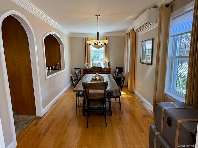 Single Family 83rd Place Queens, NY 11379, MLS-1059411-8