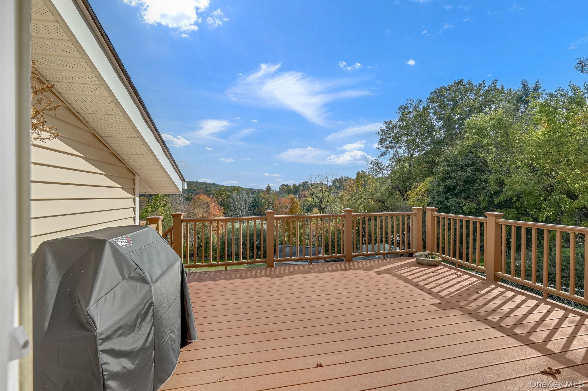 Single Family Ridgebury Road Orange County, NY 10973, MLS-1059484-20