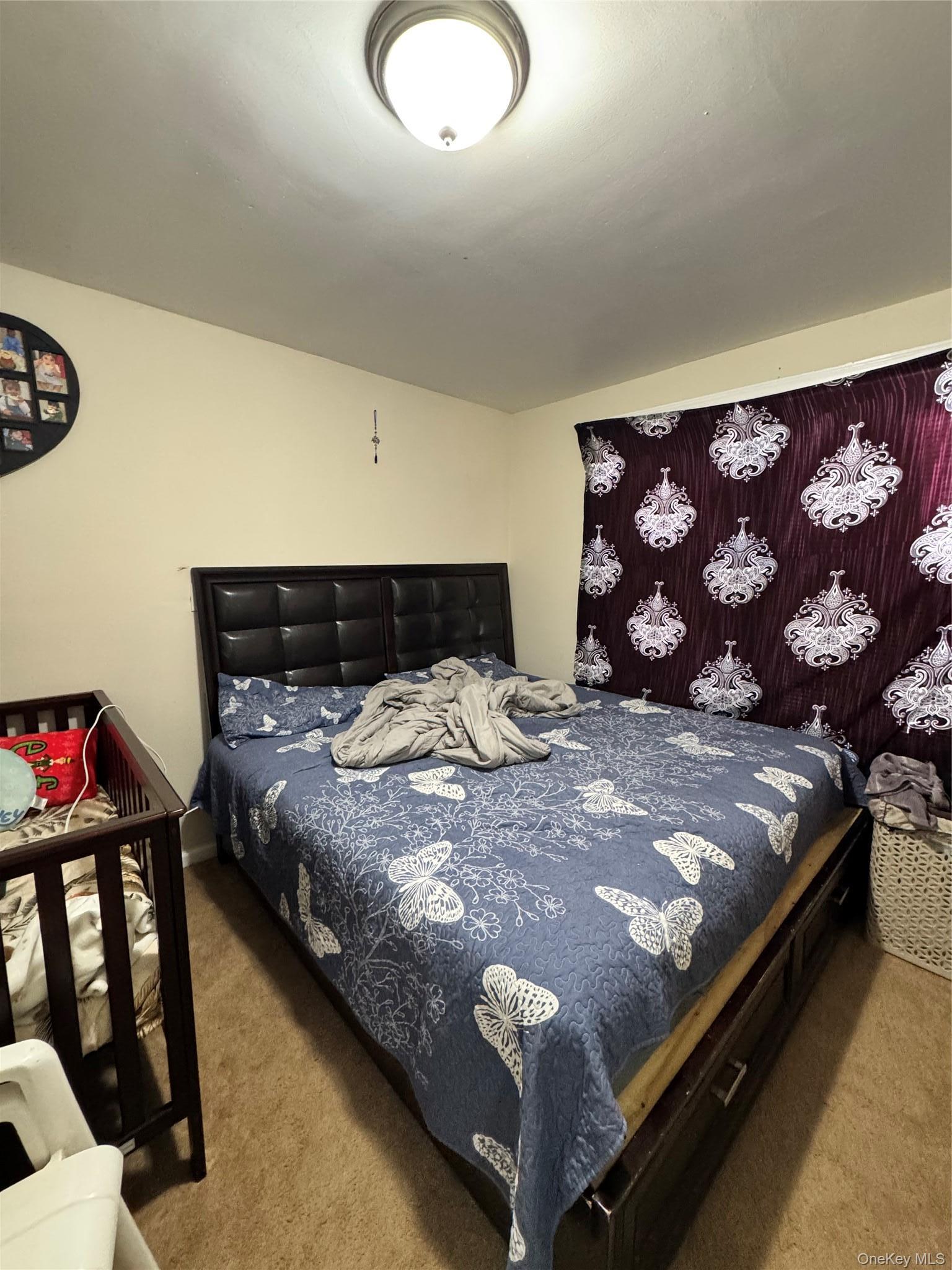 Single Family 126th Street Queens, NY 11419, MLS-1059499-8