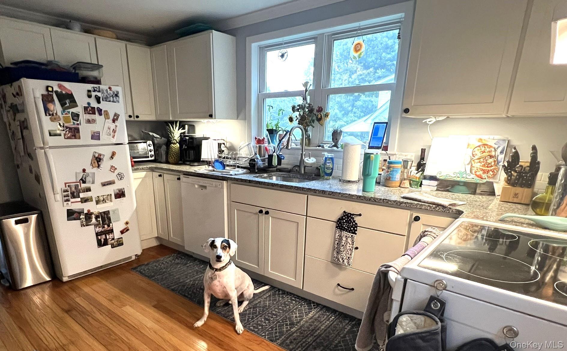 Single Family Amity Road  Orange County, NY 10990, MLS-1059602-6