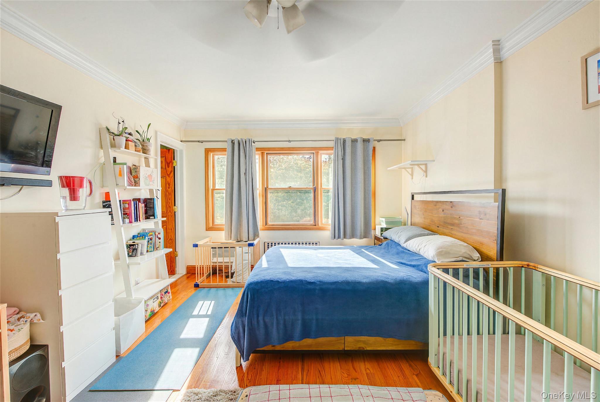 Single Family 84th Place  Queens, NY 11379, MLS-1059951-14