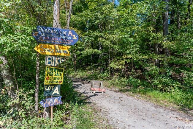 Single Family Orchard Place Ulster County, NY 12486, MLS-1059980-33