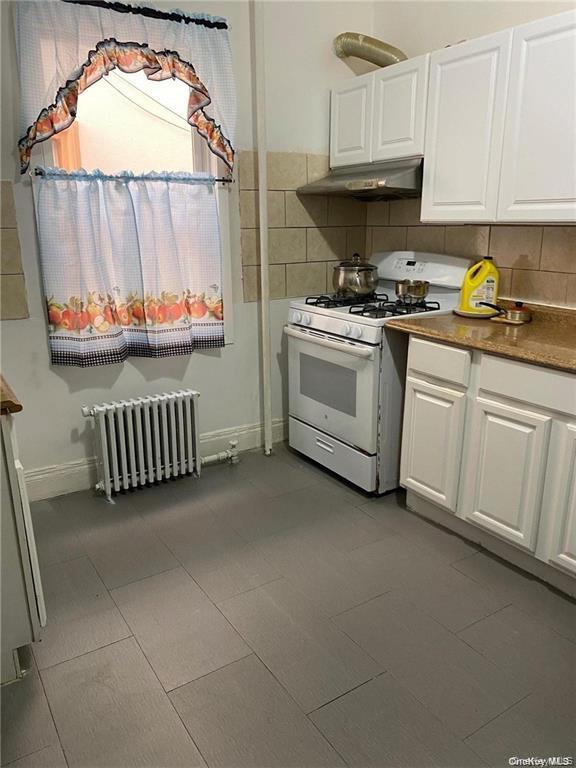 Single Family 103rd Street Queens, NY 11368, MLS-1060019-5
