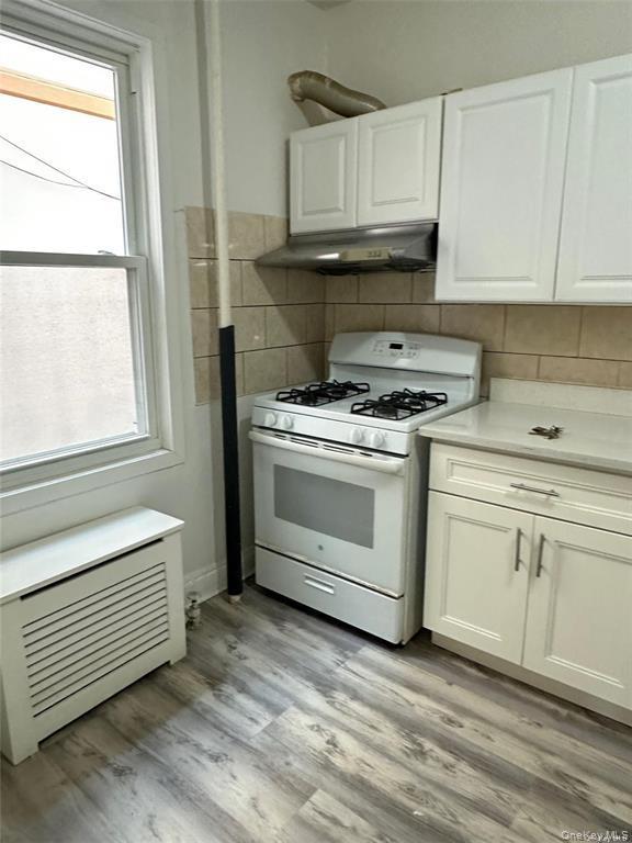 Single Family 103rd Street Queens, NY 11368, MLS-1060019-8