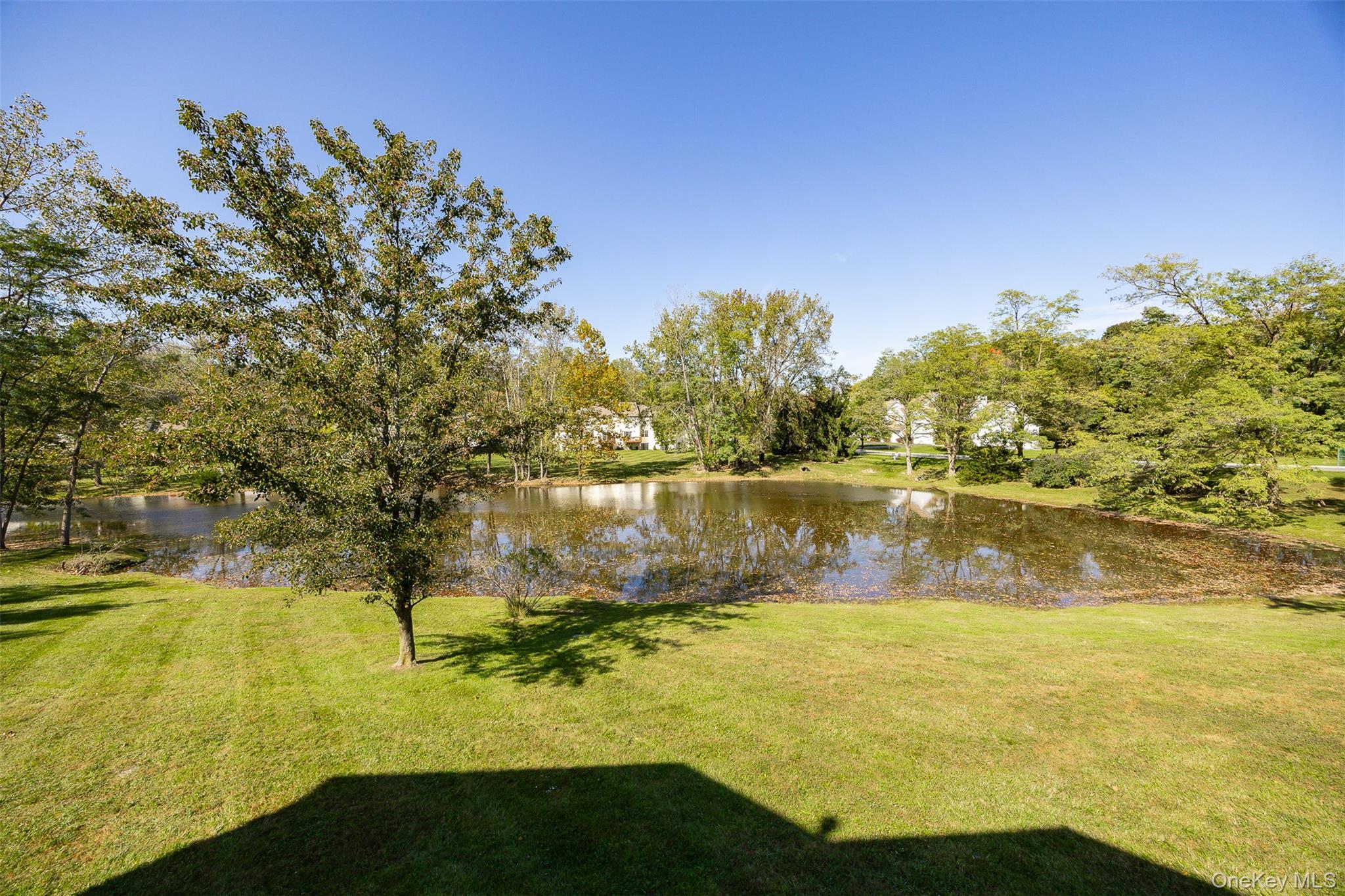 Single Family Turnberry Court Dutchess County, NY 12603, MLS-1060212-35